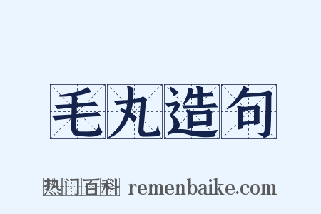 毛丸造句是什么意思的图片